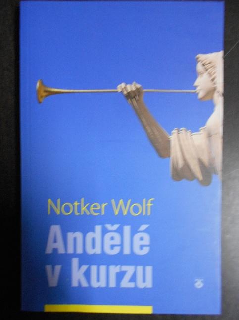 Andělé v kurzu