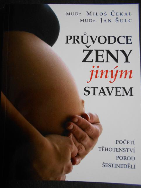 Průvodce ženy jiným stavem