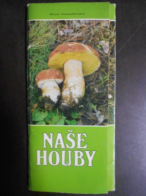 Naše houby