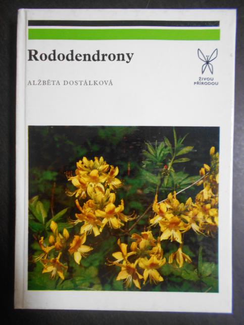 Rododendrony