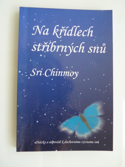 Na křídlech stříbrných snů