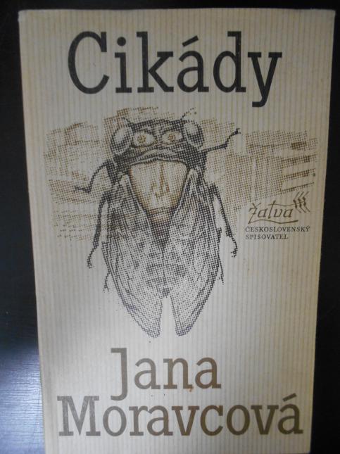 Cikády