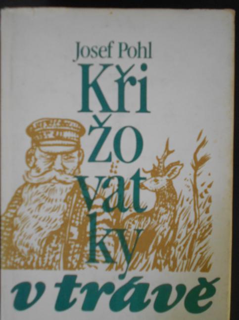 Křižovatky v trávě