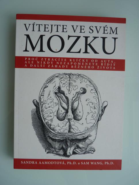 Vítejte ve svém mozku