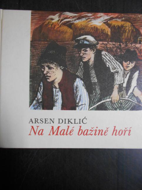 Na Malé bažině hoří