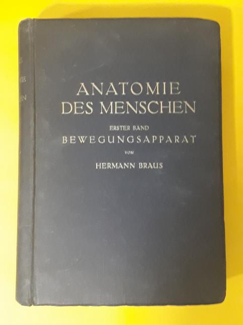 Anatomie des Menschen