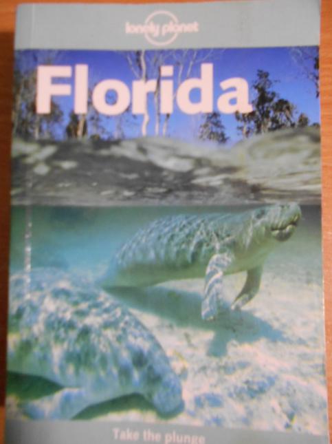  Florida (Lonely Planet Guide) Other editions Enlarge cover Rate this book 1 of 5 stars 2 of 5 stars 3 of 5 stars 4 of 5 stars 5 of 5 stars Florida (Lonely Planet Guide) 