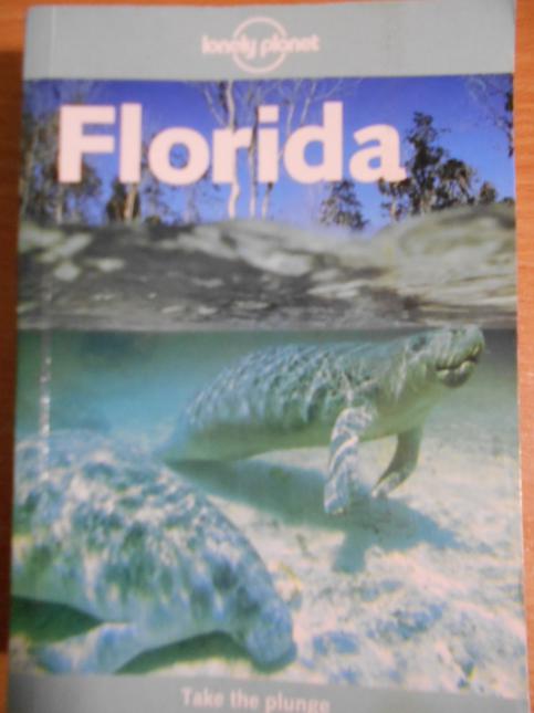  Florida (Lonely Planet Guide) Other editions Enlarge cover Rate this book 1 of 5 stars 2 of 5 stars 3 of 5 stars 4 of 5 stars 5 of 5 stars Florida (Lonely Planet Guide) 