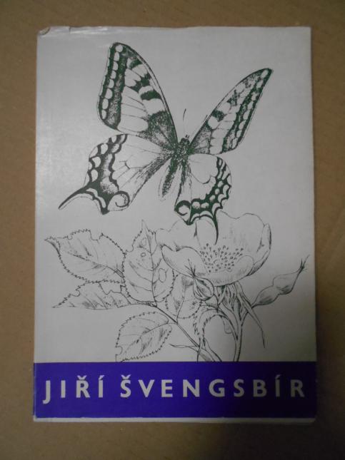 Jiří Švengsbír - grafika