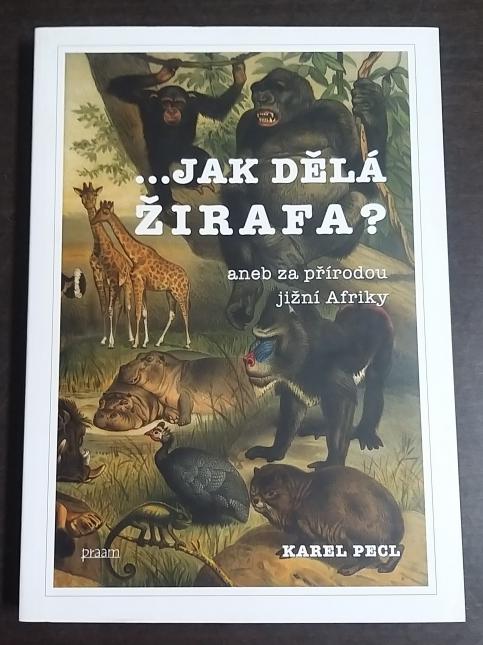 ... jak dělá žirafa? aneb za přírodou jižní Afriky