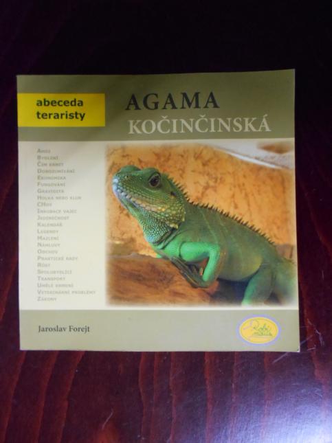 Agama kočinčinská