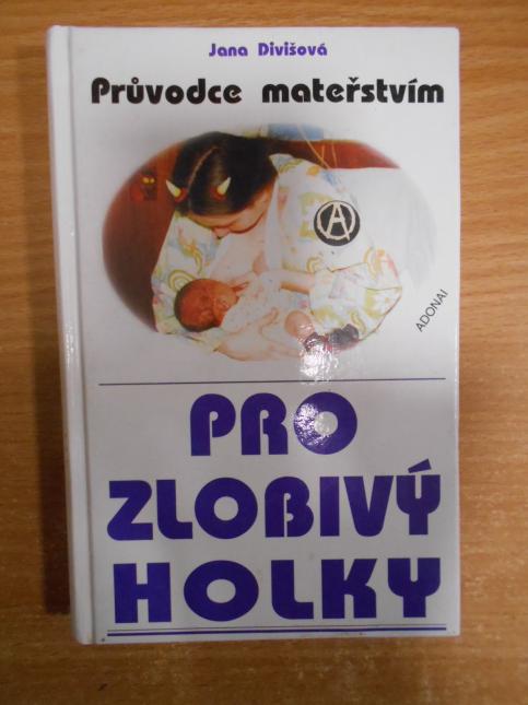 Průvodce mateřstvím pro zlobivé holky