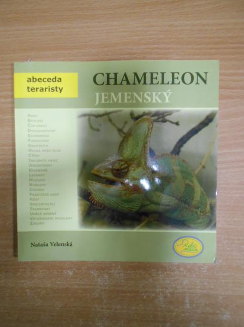 Chameleon jemenský