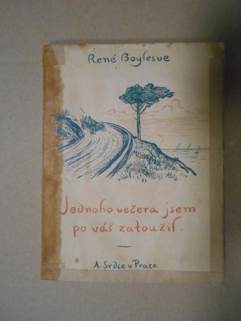 Jednoho večera jsem po vás zatoužil