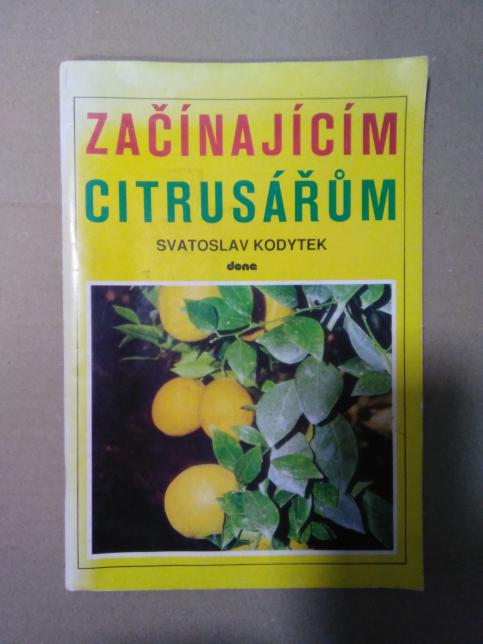 Začínajícím citrusářům