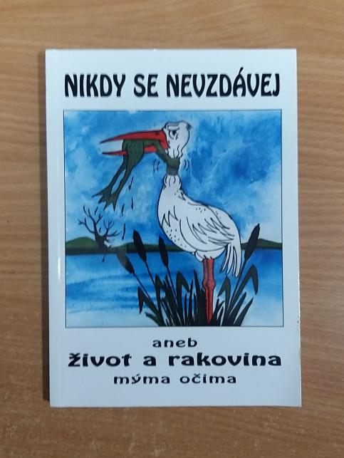 Nikdy se nevzdávej aneb Život a rakovina mýma očima