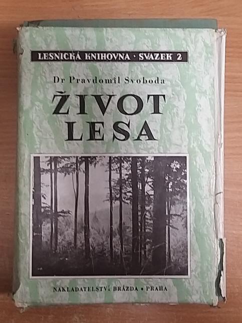 Život lesa