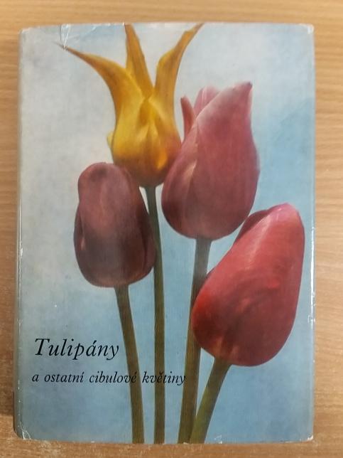 Tulipány a ostatní cibulové květiny