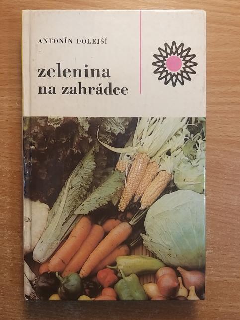Zelenina na zahrádce