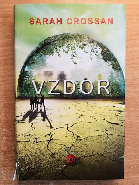Vzdor