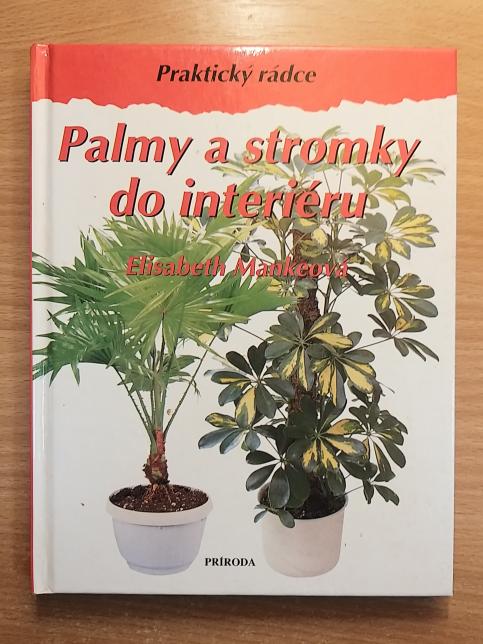 Palmy a stromky do interiéru