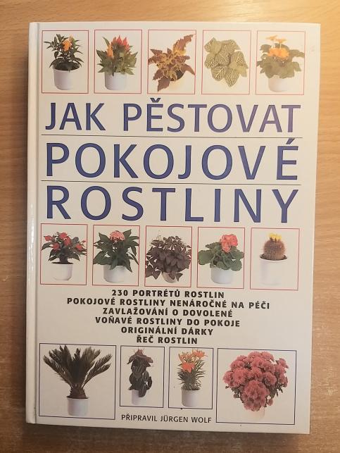 Jak pěstovat pokojové rostliny