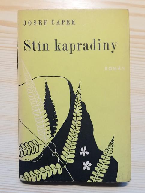 Stín kapradiny