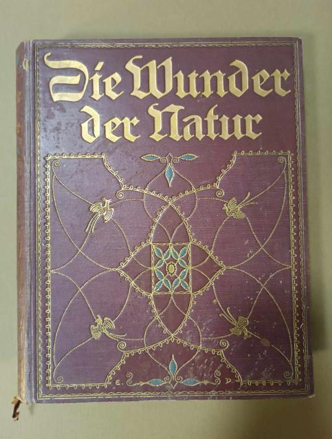 Die Wunder der Nature