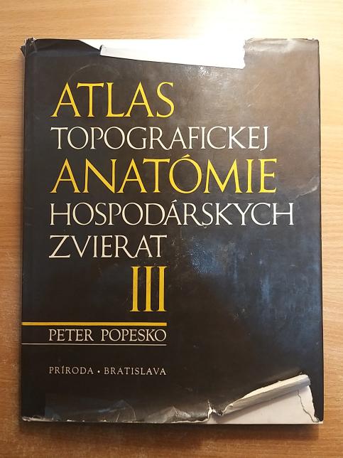 Atlas topografickej anatómie hospodárskych zvierat III. - panva a končatiny