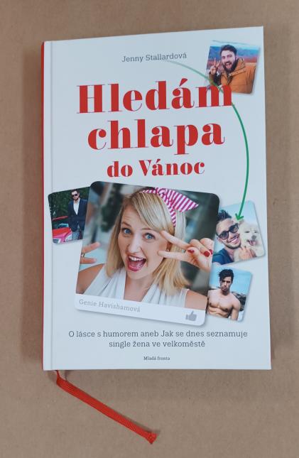 Hledám chlapa do Vánoc 