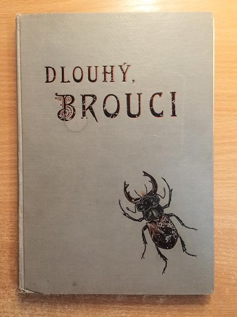 Brouci