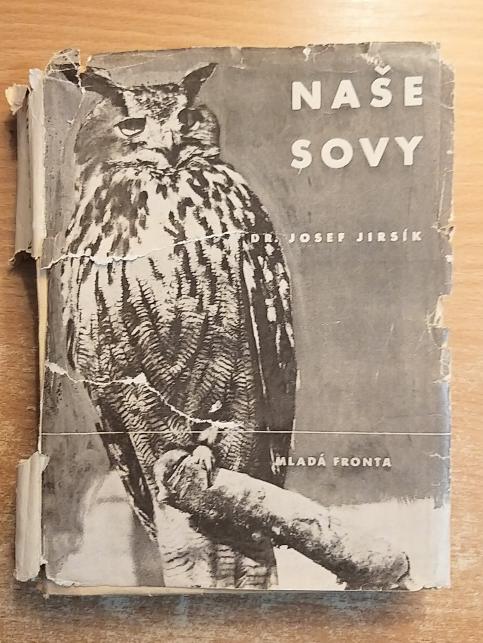 Naše sovy