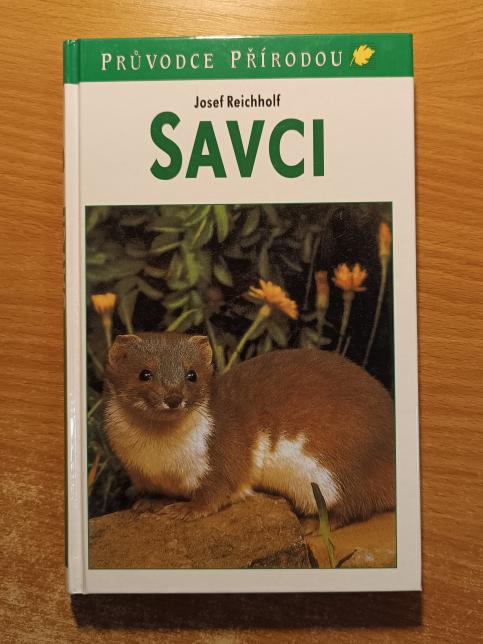 Savci