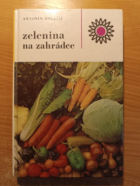 Zelenina na zahrádce