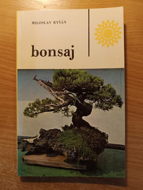 Bonsaj