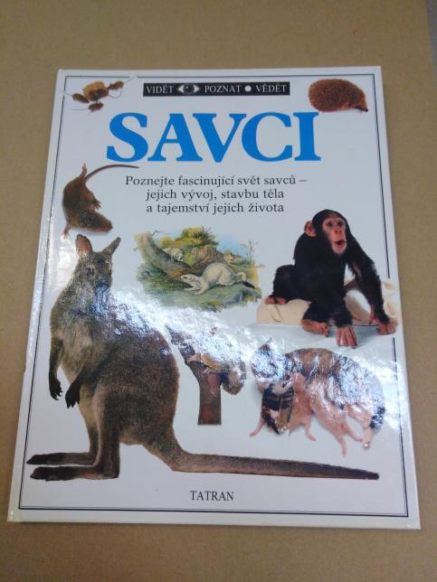 Savci