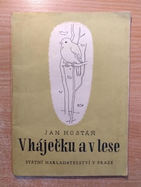 V háječku a v lese
