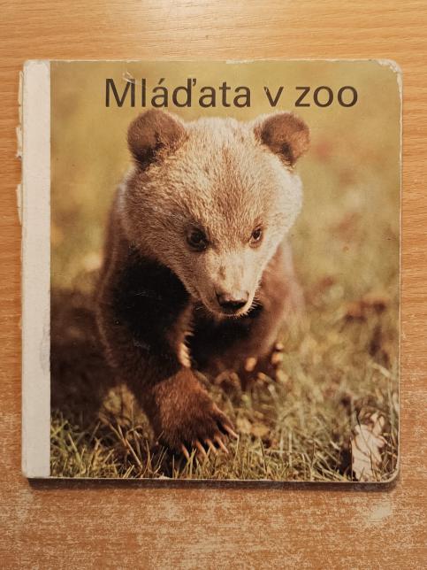 Mláďata v ZOO