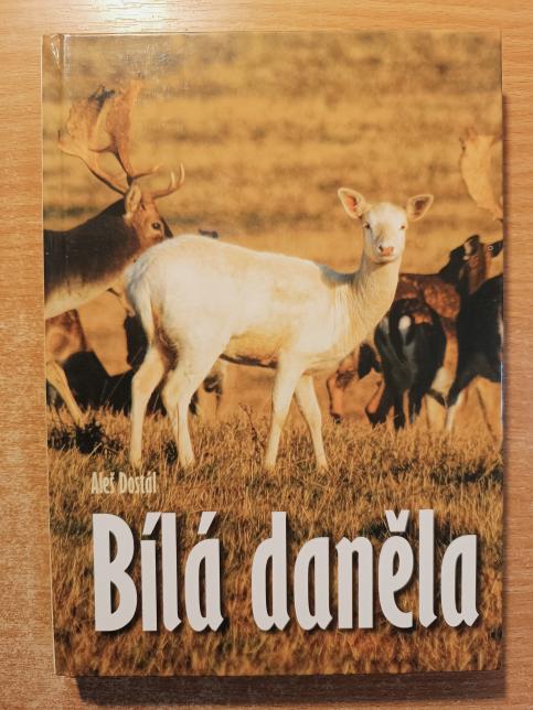 Bílá daněla