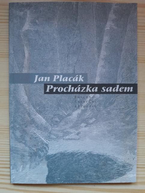 Procházka sadem