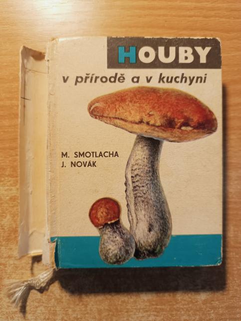 Houby v přírodě a v kuchyni
