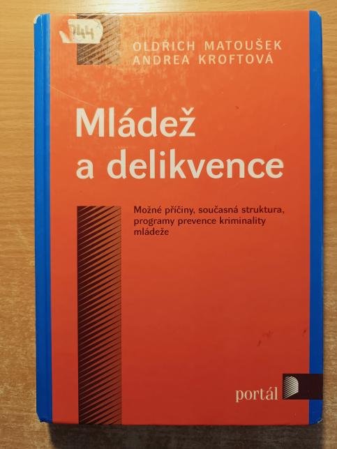 Mládež a delikvence