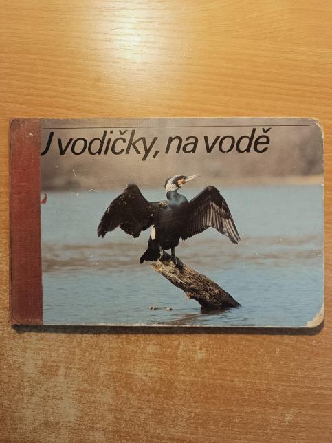 U vodičky, na vodě