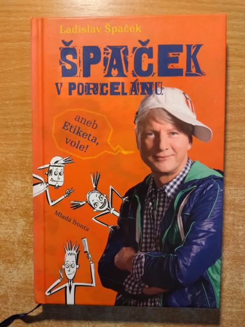 Špaček v porcelánu