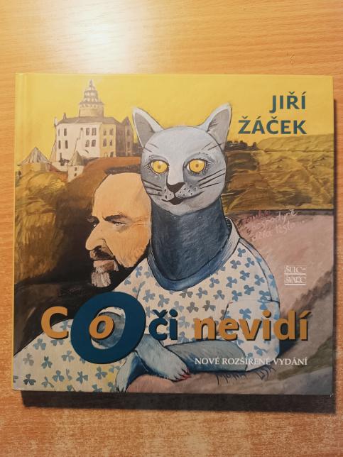 Co oči nevidí