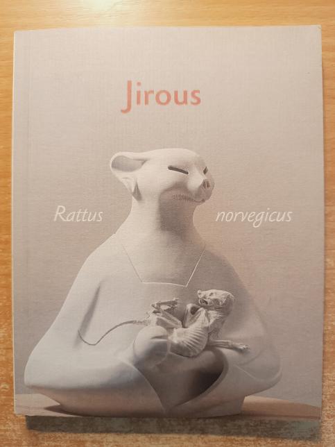 Rattus norvegicus