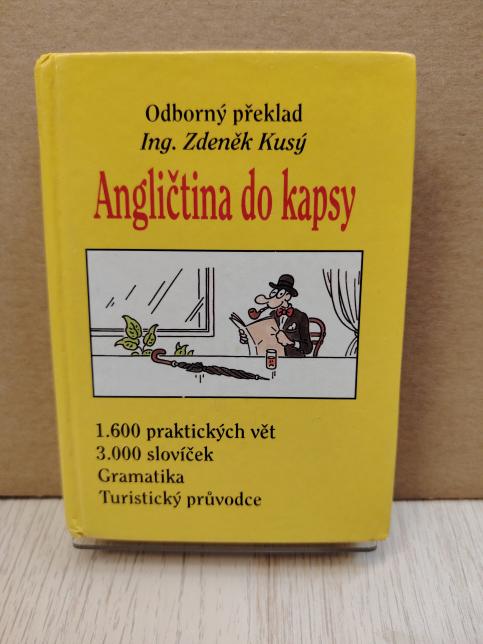 Angličtina do kapsy