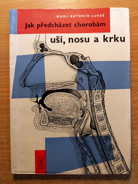 Jak předcházet chorobám uší, nosu a krku