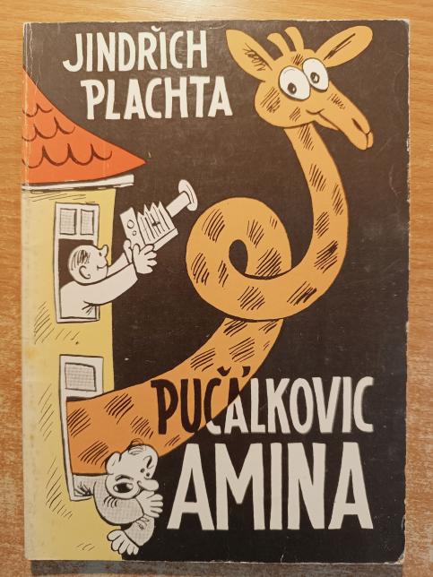 Pučálkovic Amina
