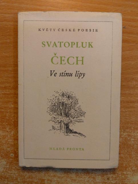 Ve stínu lípy 